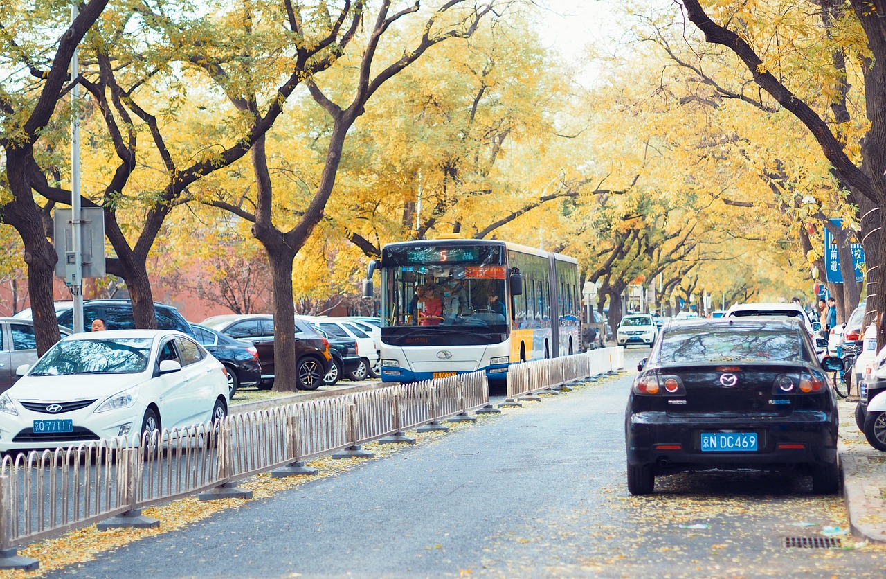 丽泊街房屋出租信息最新汇总，宜居环境，温馨家园等你来租！，丽泊街温馨宜居房屋出租，即刻开启您的理想家园之旅！