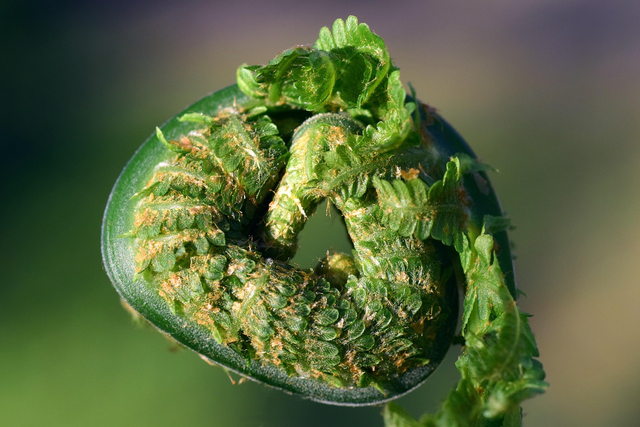 莫换晶最新消息，莫换晶最新动态与背景故事揭秘：关注他的成长与未来展望