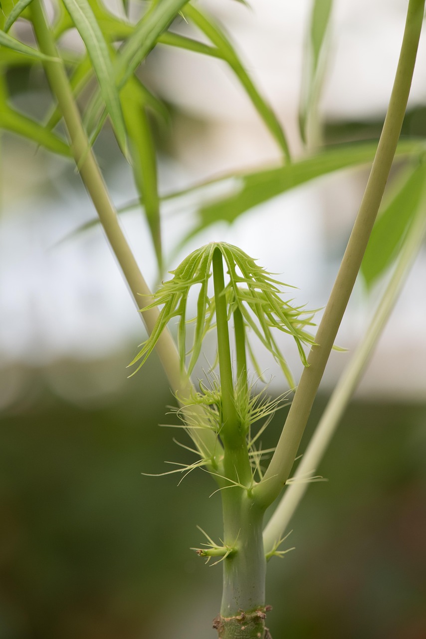 盘州矿区规划最新消息，盘州矿区规划最新动态：绿色转型与可持续发展之路