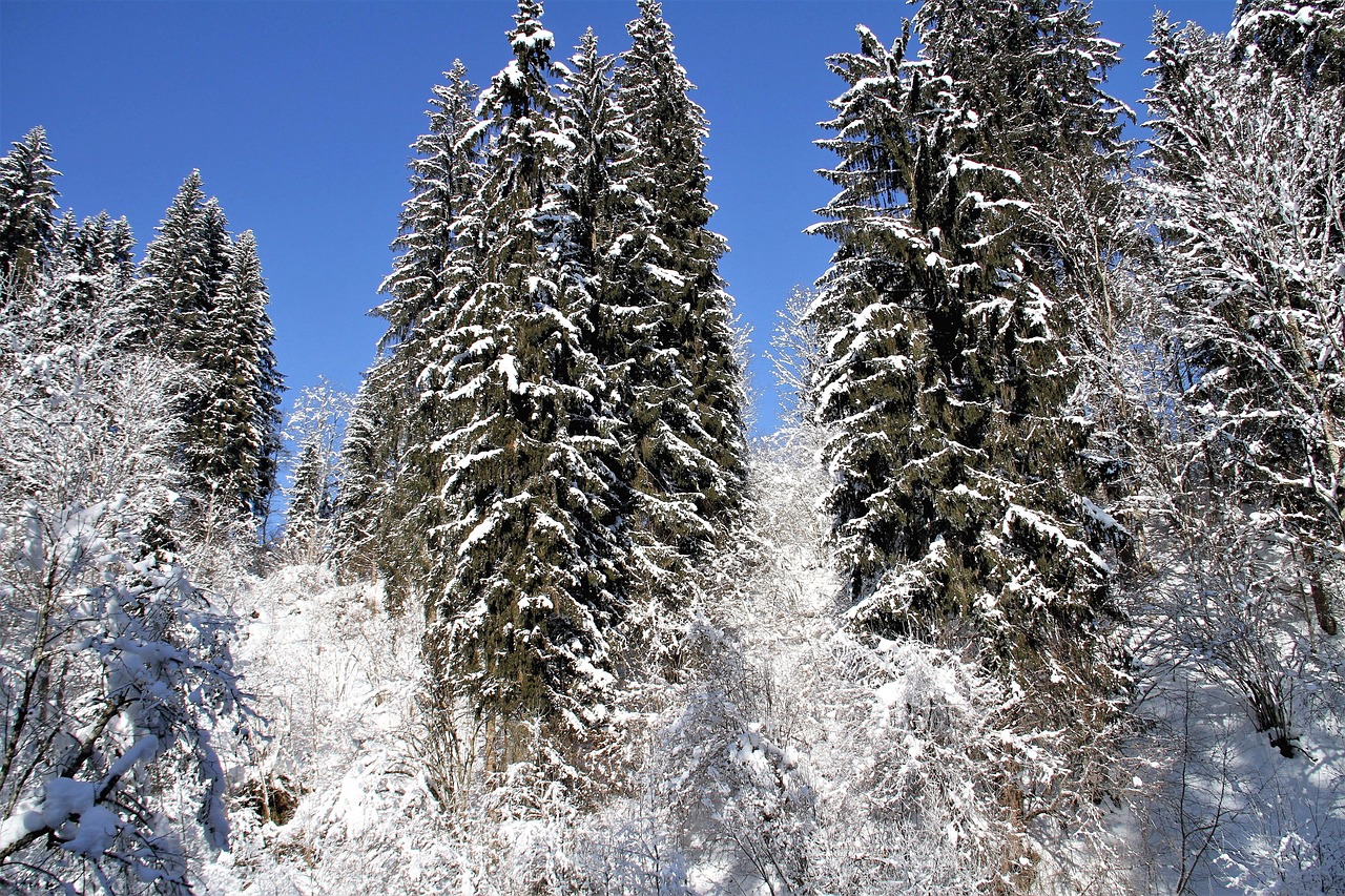 今冬强降雪天气已“做客”甘肃