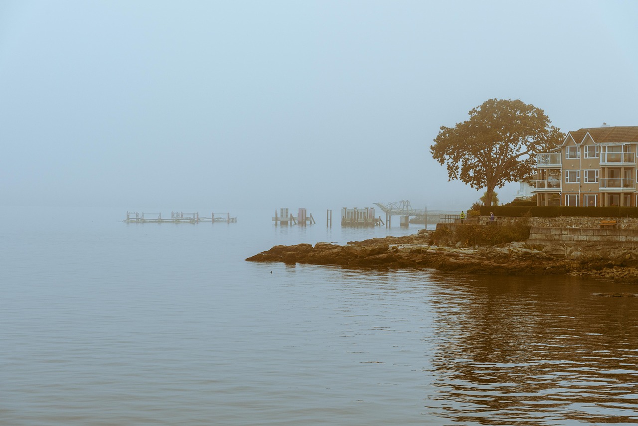 磁湖景悦价格走势分析最新，磁湖景悦楼盘价格走势深度分析