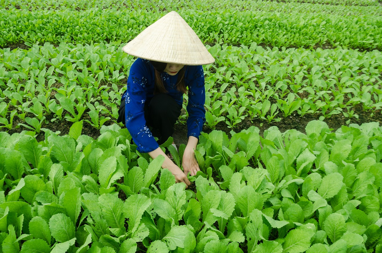 查干湖风景区最新消息，查干湖风景区最新动态及未来发展规划介绍