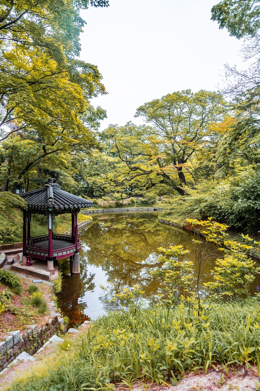 木兰围场最新动态，生态旅游新篇章，历史遗迹焕新生，木兰围场，生态旅游新潮涌动，历史遗迹重焕光彩