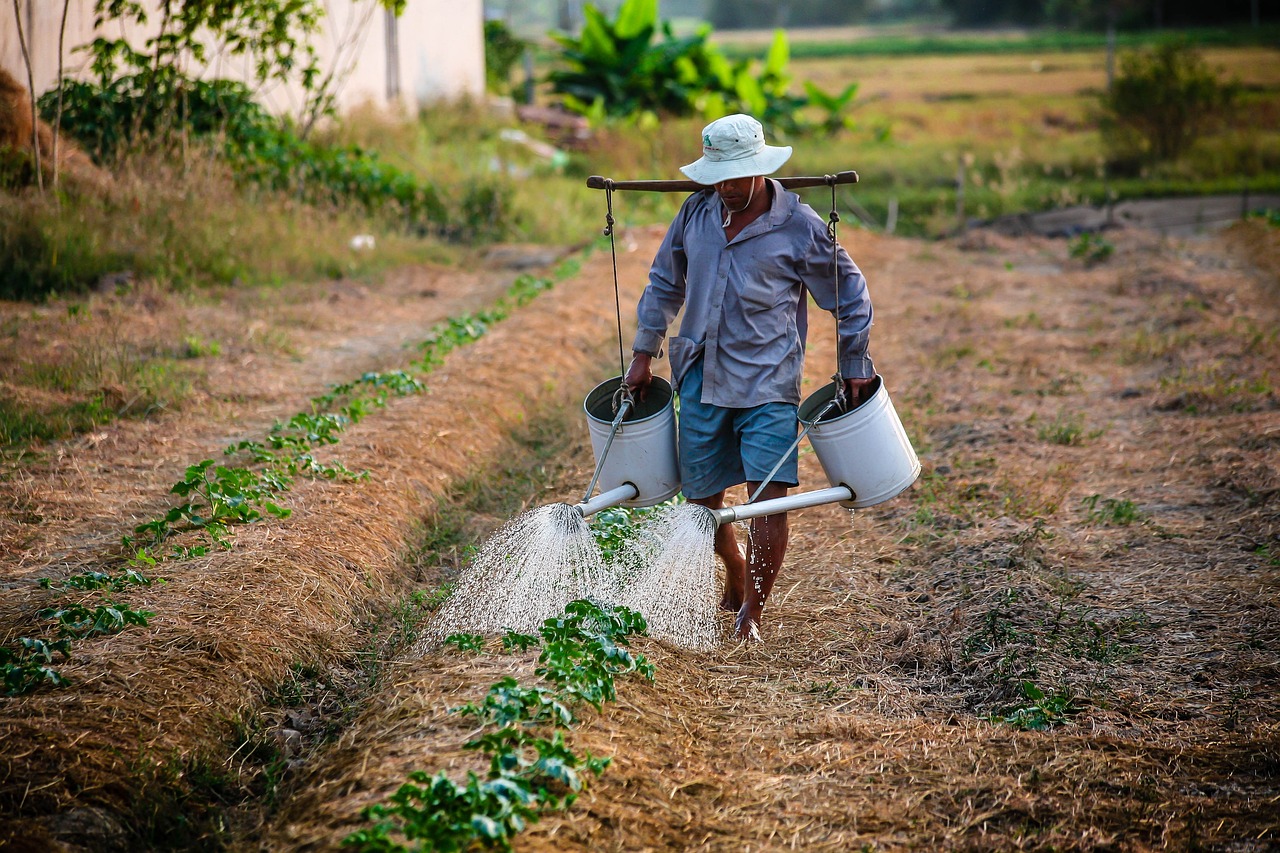 2025农民养老金新规落地！种地也能月领过千，教你多领3笔钱