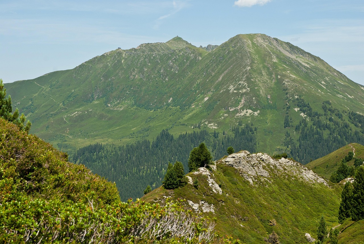 张家界加强景区环境卫生整治，精准推测与积极行动，张家界景区环境卫生整治，精准推测与积极行动同向发力