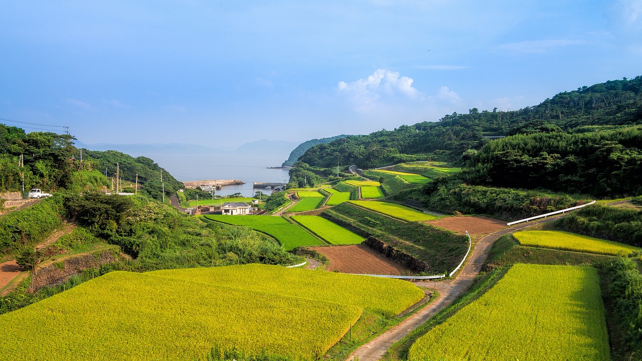 雅安绿色发展的实践探索，持续关注与深度洞察，雅安绿色发展实践探索，深度洞察与持续关注