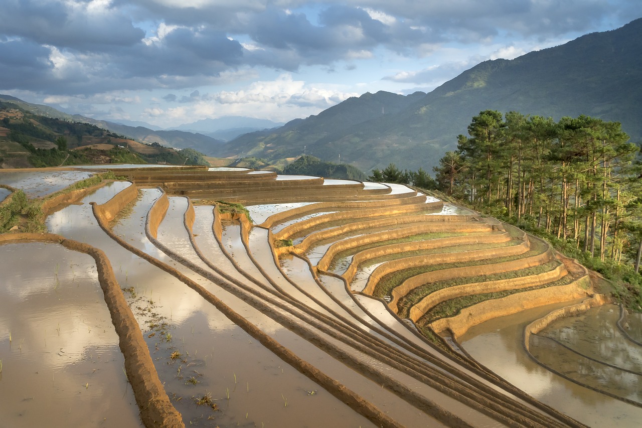 池州生态文旅的特色路径·及时洞悉，池州生态文旅发展新路径探析