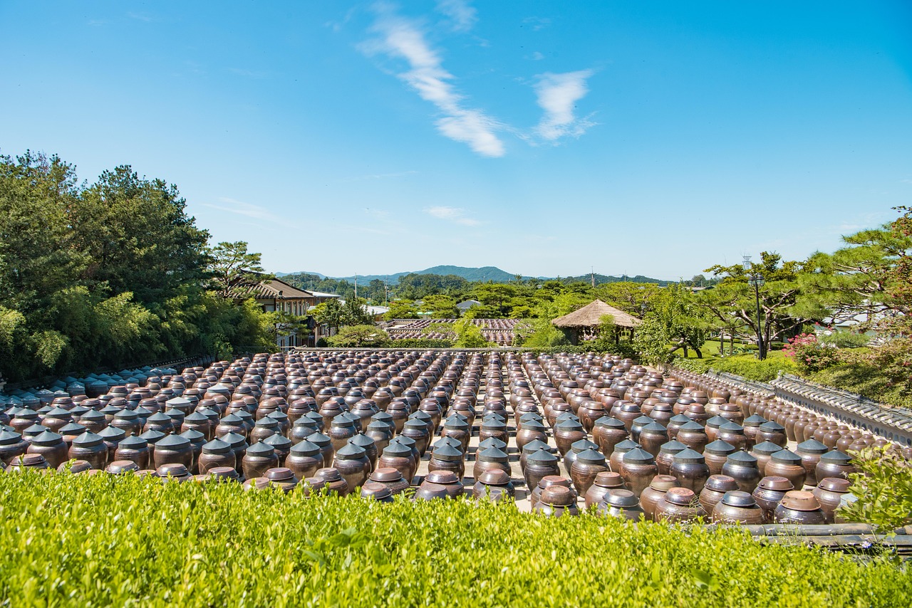 阜阳农业现代化的实践探索·马上获取，阜阳农业现代化模式实践解析