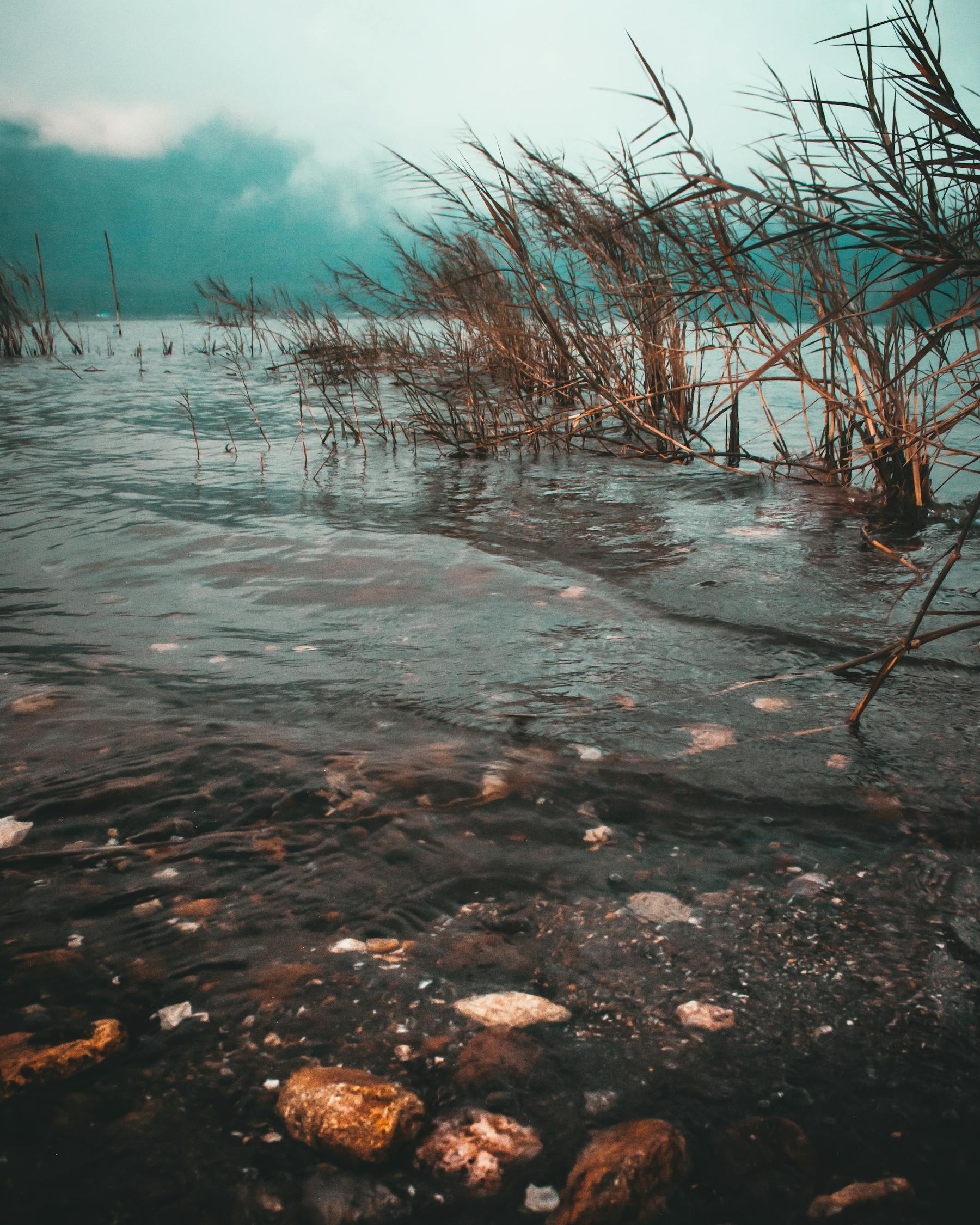 暴雨后河南许昌满目疮痍？不实_实时监测，河南许昌暴雨后的真相，不实报道辟谣与实时监测的重要性