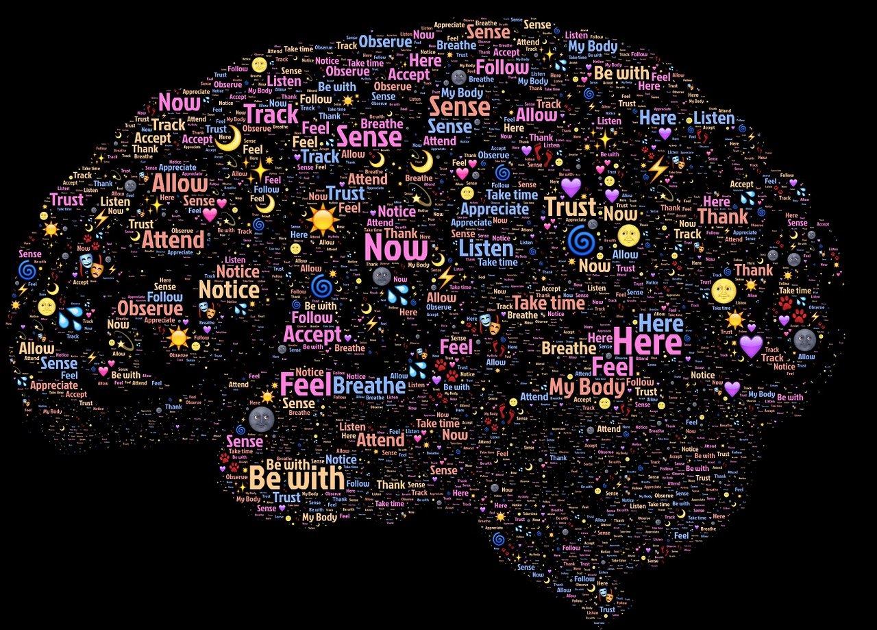 暗影者实力者排行榜最新，最新暗影者实力者排行榜：热门暗影者的实力与特点解析