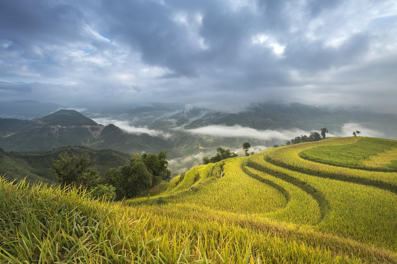 宜宾柏溪圣地最新消息，宜宾柏溪圣地：综合发展迎新机遇，文化生态共铸美好未来