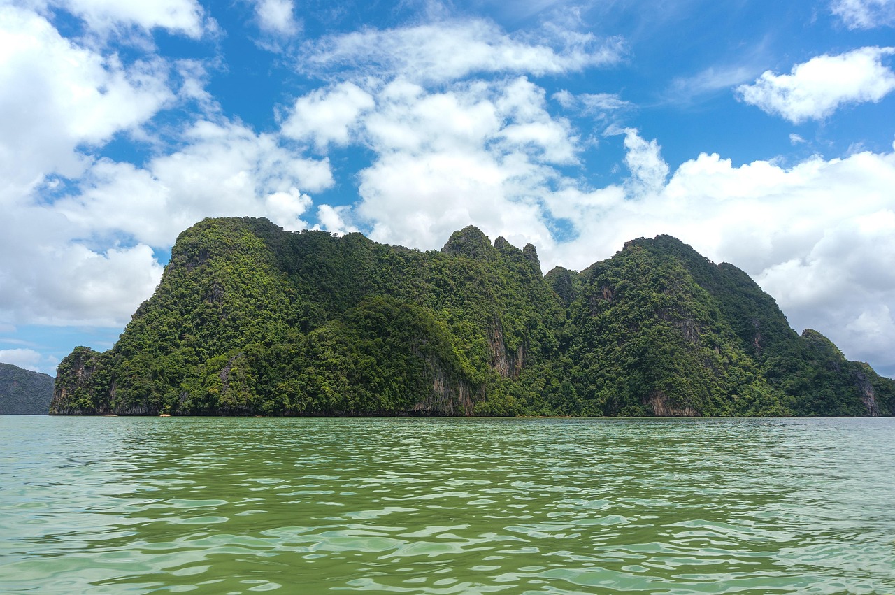 盐城沿海湿地生态保护与旅游开发·灵敏掌握，盐城沿海湿地生态保护与旅游开发，和谐共生之道