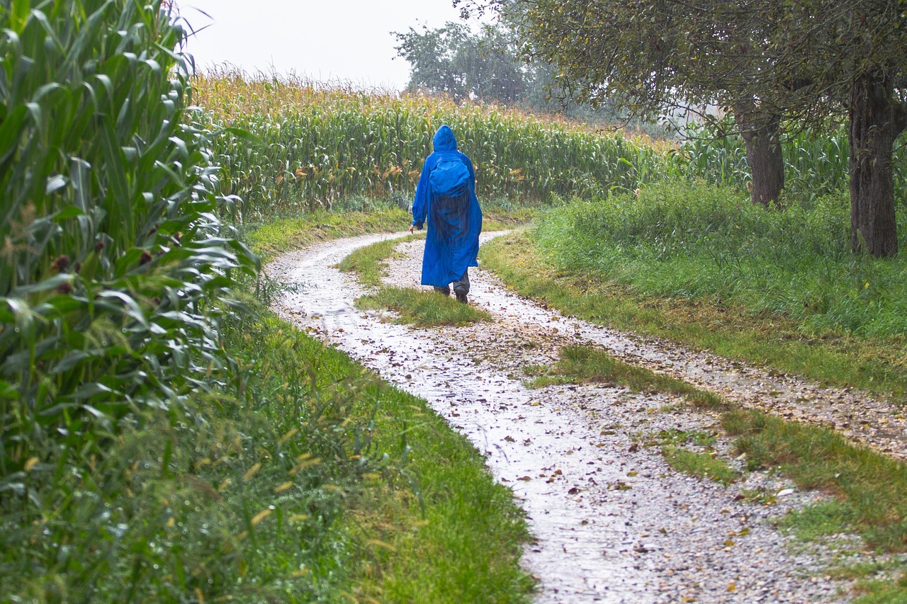 雨天能逛济南吗最新消息，济南雨天旅游攻略：雨中探秘泉城之美