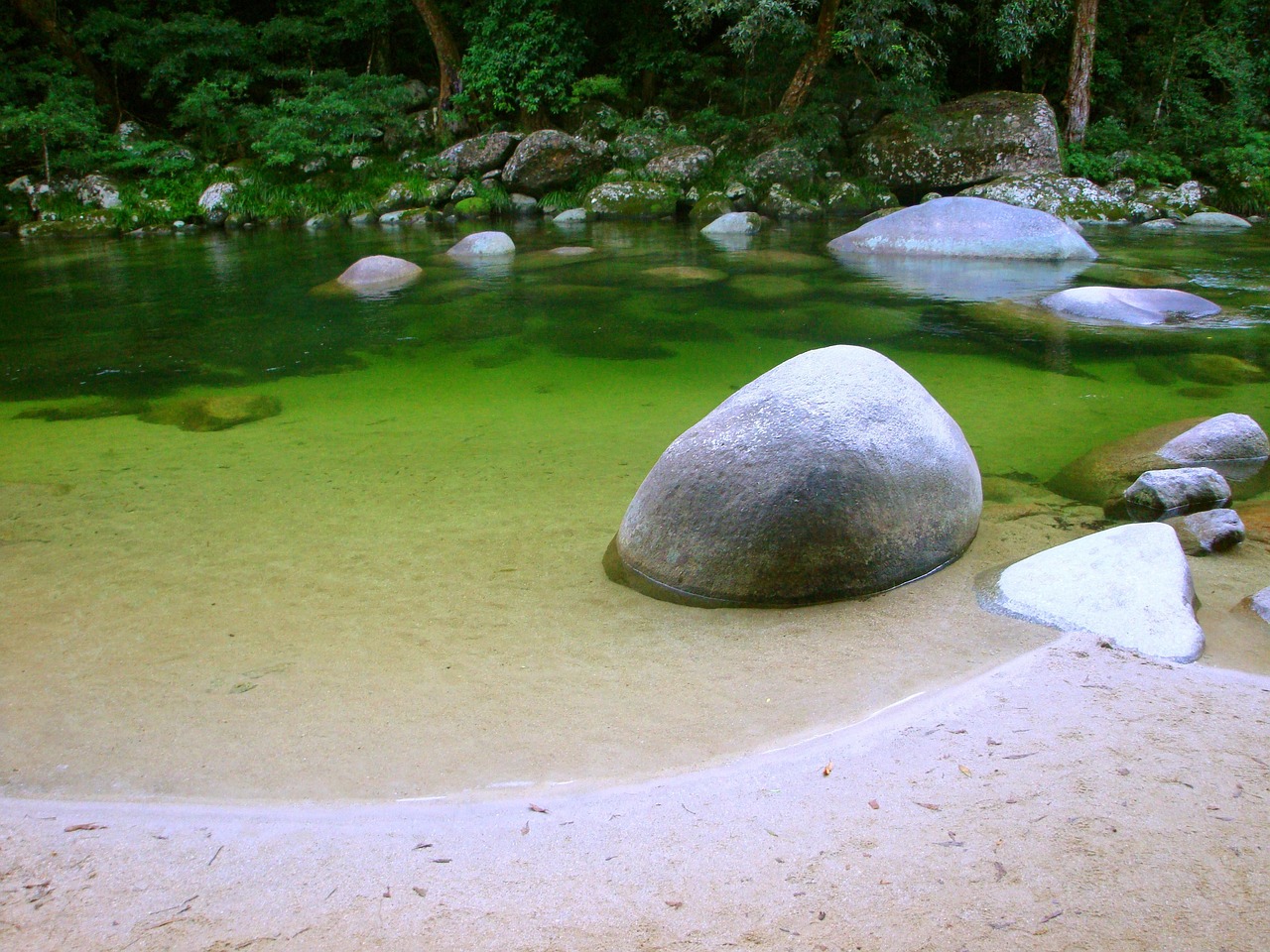 北京花鳅生态研究计划，精准追踪，守护水生生态平衡，北京花鳅生态研究计划，精准守护，平衡水生生态