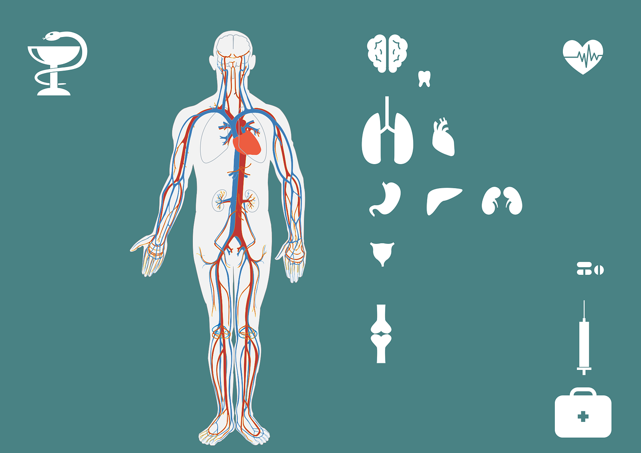 急诊书最新版，急诊书最新版：全面解读医疗急救领域的最新进展与突破